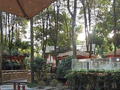 -二荆条·蜀鲜汇城市森林火锅