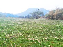 -名花谷生态庄园