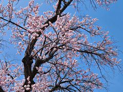 -吉林大学(南岭校区)