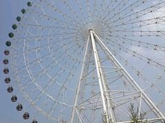 -凤凰欢乐大世界