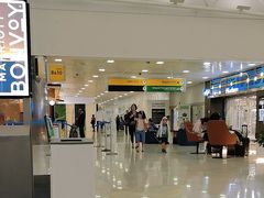 -约翰·菲茨杰拉德·肯尼迪国际机场