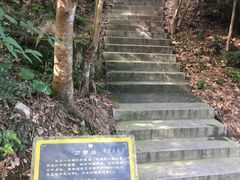 -普陀山风景区-佛顶山