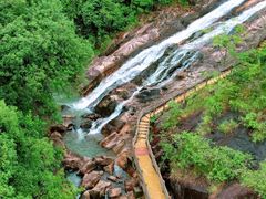 -广州白江湖森林公园