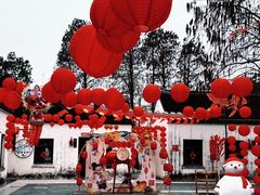 -同里国家湿地公园