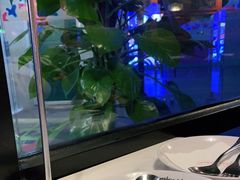 -清真·艾美可餐厅(鹏欣水游城店)