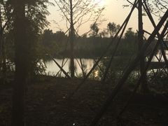 -泗洪洪泽湖湿地景区