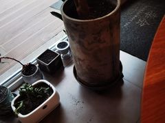 -团子君寿司·茶