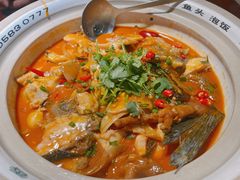 太平湖有机胖头鱼-魏铭鱼头捞饭(晋阳路店)