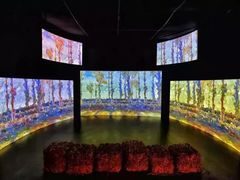 -印象莫奈时光映迹艺术展