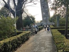 -上海佘山国家森林公园天马山园