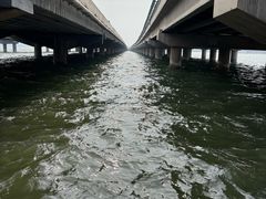-丁香湖公园