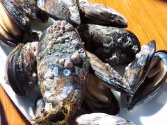 -胖大嫂渔家排档·全海景餐厅(渔村店)