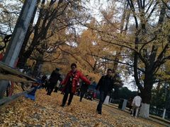 -四川大学(华西校区)