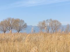 -野鸭湖国家湿地公园