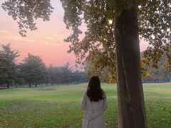 -河南省黄河迎宾馆