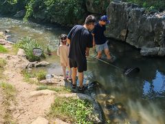 -羊山湖公园
