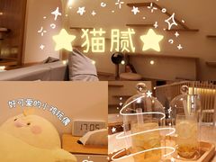 -猫腻·猫咖·撸猫馆(星光大道店)
