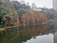 -重庆彩云湖湿地公园