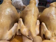 -佬肥猫(七宝宝龙店)