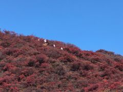 -水峪民俗村