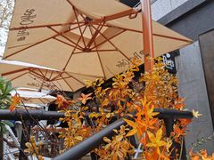 -Peet's 皮爷咖啡(东湖路手作店)