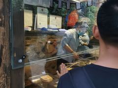 -萝卜丝饼