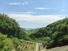 -莫干山风景区
