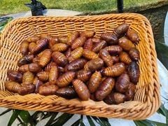 -万龙洲海鲜(南新仓店)