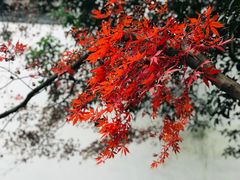 -采石矶景区