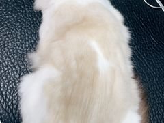 -百年义利(幸福大街店)