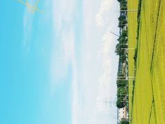 -沈阳站