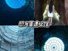 -中国西峡恐龙遗迹园