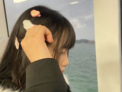 -野狸岛