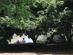 -九里河湿地公园