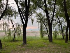 -野鸭湖国家湿地公园