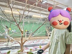 -上海大自然野生昆虫馆(东方明珠·爬宠昆虫探索中心)