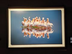 -罗红摄影艺术馆