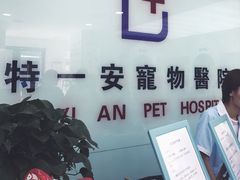 -特一安24小时宠物医院·骨科·中兽医