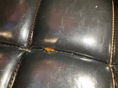 -凯乐会量贩KTV(国防大厦总店)