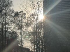 -兔途体检(十里堡青年路店)