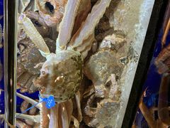 -蟹道乐(道顿堀本店)