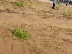 -青岛银沙滩温德姆至尊酒店