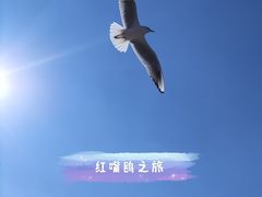 -海埂大坝
