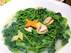 -广东道至正餐厅(区庄店)