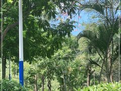 -火炉山森林公园