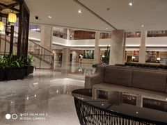 -广州白天鹅宾馆