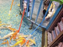 点击看大图 -酷嗒动物文化乐园(cutezoo西溪乐天城店)