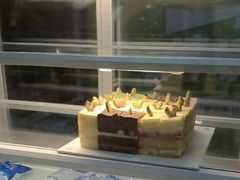-维尔纳斯·生日蛋糕动物奶油冰淇淋蛋糕(人大店)
