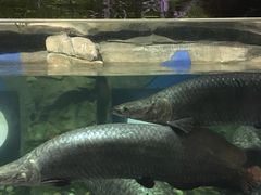 -梦幻海洋王国(吾悦广场张家港店)