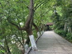 -天目湖山水园